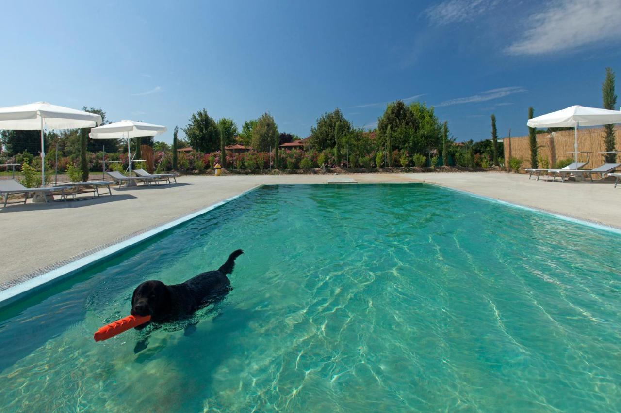 Fattoria Maremmana Aparthotel มารีนาดีกรอซเซโต ภายนอก รูปภาพ